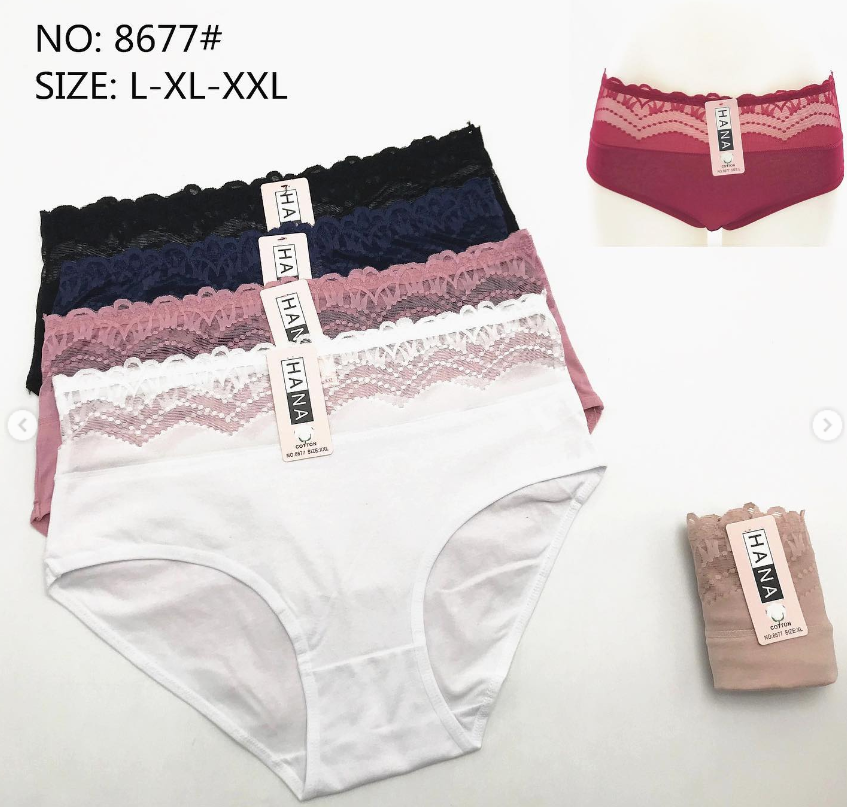 Pack T5 avec 4 culotte multi-couleur